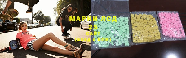 индика Березники