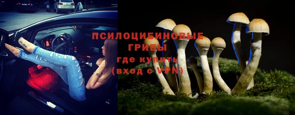 мет Нязепетровск