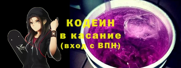индика Березники