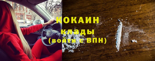 индика Березники