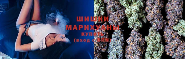 стафф Новозыбков