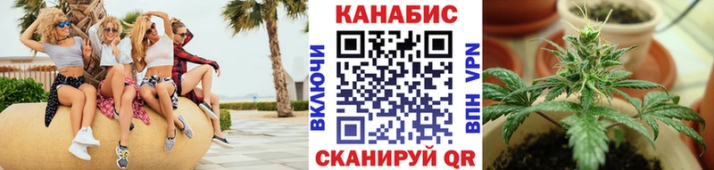 Канабис OG Kush Урай
